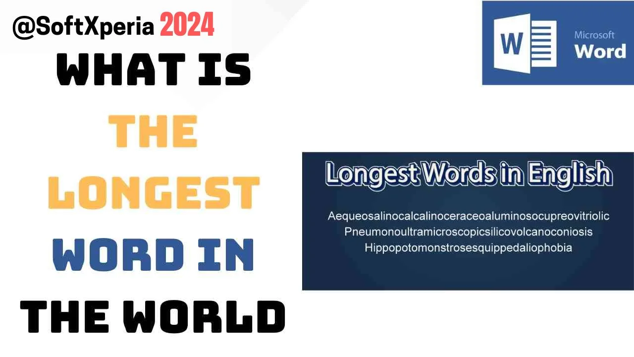 Longest Word in the World